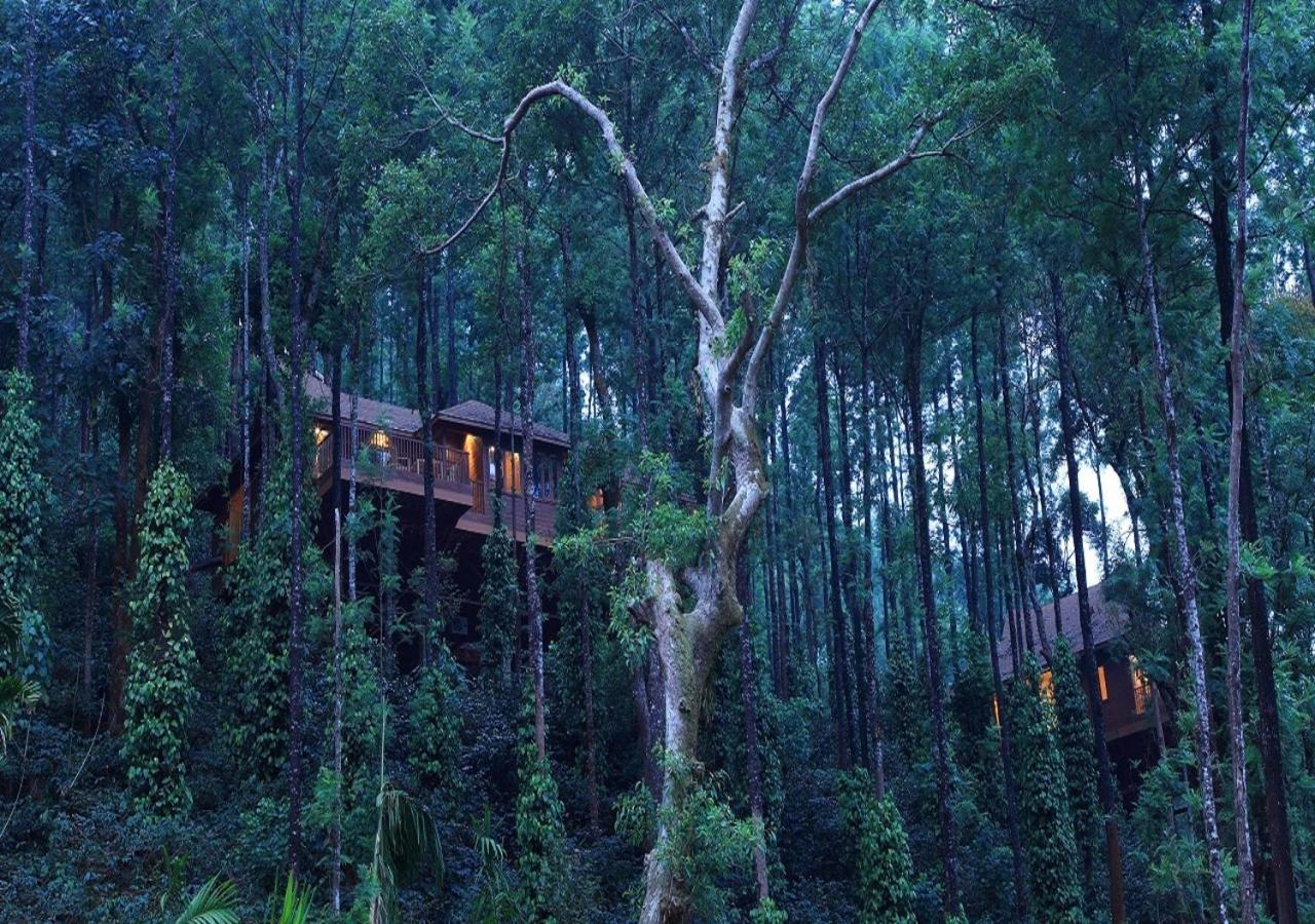 The Tamara Coorg Ξενοδοχείο Kakkabe Εξωτερικό φωτογραφία